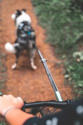 Non-stop Dogwear Bike Antenna Dog Leash Accessory slide 2 of 4