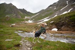 Non-stop Dogwear Fjord Dog Raincoat, Green/Grey, 40 slide 2 of 2
