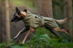 Non-stop Dogwear Fjord WD Dog Raincoat, Olive, 70 slide 2 of 3