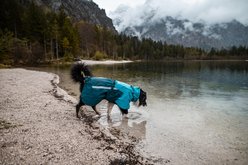 Non-stop Dogwear Fjord 2.0 Dog Raincoat, Teal, 40 slide 2 of 2