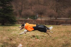 Non-stop Dogwear Fjord 2.0 Dog Raincoat, Black/Orange, 55 slide 2 of 2