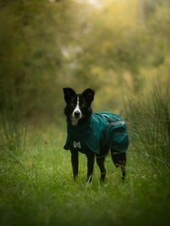 Non-stop Dogwear Fjord Lined Dog Raincoat, Dark Teal, 80 slide 2 of 4