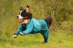 Non-stop Dogwear Fjord Overall Dog Raincoat, Teal, 36 slide 2 of 4