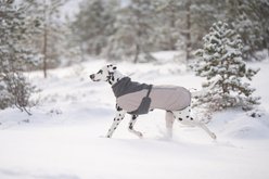 Non-stop Dogwear Glacier 3.0 Wool Dog Jacket, Grey, 70 slide 2 of 3