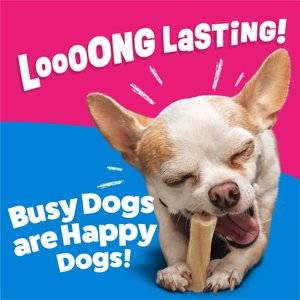 Busy Bone Long-Lasting Real Meat Tiny Dog Treat, 60 count