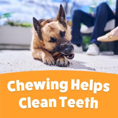 Show full view: Busy Bone with Beggin' Twist'd! Long-Lasting Cheddar & Hickory Smoke Small/Medium Dog Treats, 10 count slide 9 of 12