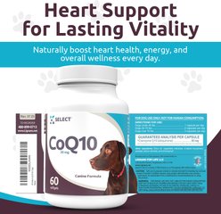 K9 Select CoQ10 Softgel Liver Supplement for Dogs, 60 count slide 2 of 7