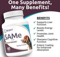 K9 Select SAMe 90mg Tablet Liver Supplement for Small Dogs, 60 count slide 2 of 7
