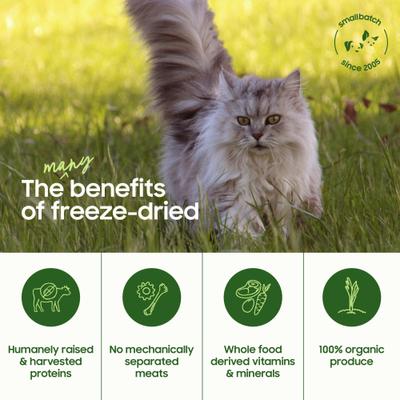 Show full view: Smallbatch Pets Non-GMO Chicken Meal Bites Freeze-Dried Cat Food, 10-oz bag slide 3 of 8