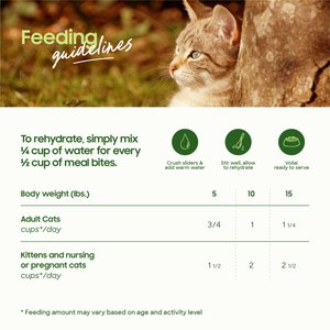 Smallbatch Pets Non-GMO Chicken Meal Bites Freeze-Dried Cat Food, 10-oz bag