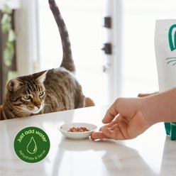 Smallbatch Pets Non-GMO Turkey Meal Bites Freeze-Dried Cat Food, 10-oz bag slide 2 of 7