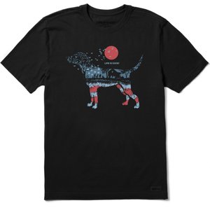 LIFE IS GOOD Men's BBQ USA Dogscape Short Sleeve Crusher-Lite, Faded Black, Small