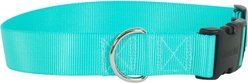 Coastal Pet Products Plastic Buckle Adjustable Dog Collar, Teal, Large: 18 to 26-in neck, 1.5-in wide slide 2 of 5
