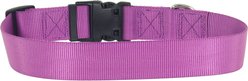 Coastal Pet Products Plastic Buckle Adjustable Dog Collar, Orchid, Large: 18 to 26-in neck, 1.5-in wide slide 2 of 5