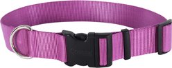 Coastal Pet Products Plastic Buckle Adjustable Dog Collar, Orchid, Large: 18 to 26-in neck, 1.5-in wide
