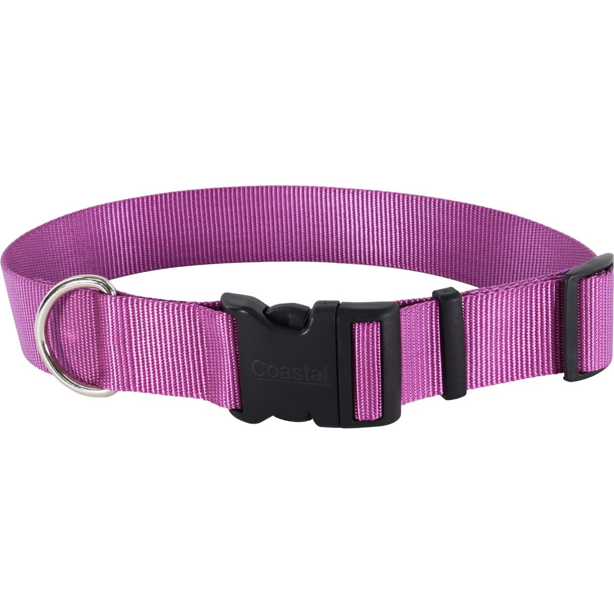 Coastal Pet Products Plastic Buckle Adjustable Dog Collar, Orchid, Large: 18 to 26-in neck, 1.5-in wide