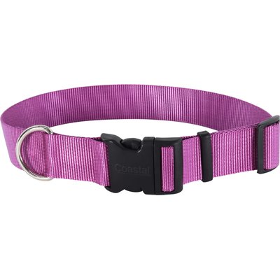 Coastal Pet Products Coastal Pet Products Plastic Buckle Adjustable Dog Collar, Orchid, Large: 18 to 26-in neck, 1.5-in wide