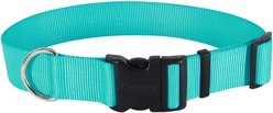 Coastal Pet Products Plastic Buckle Adjustable Dog Collar, Teal, Large: 18 to 26-in neck, 1.5-in wide