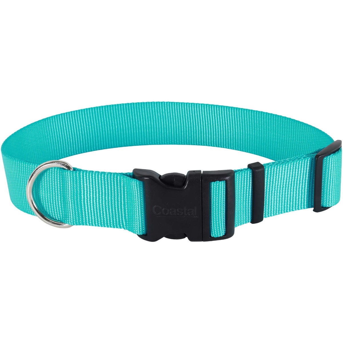 Coastal Pet Products Plastic Buckle Adjustable Dog Collar, Teal, Large: 18 to 26-in neck, 1.5-in wide