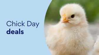 Chick Day Deals