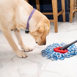 O-Cedar RinseClean Spin Mop + Extra Mop Head Replacement slide 2 of 9