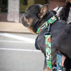 Sublime Tattoo Sleeve Dog Leash, Medium/Large: 6-ft long, 1-in wide slide 2 of 6