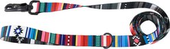 Sublime Native Stripe Dog Leash, Medium/Large: 6-ft long, 1-in wide