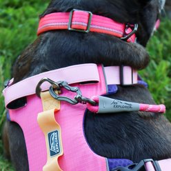 K9 Explorer Trek Full-Coverage Rosewood Dog Harness, Small: 16 to 24-in chest slide 2 of 9