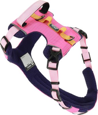 069a172c-02ea-7d25-8000-