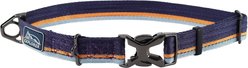 K9 Explorer Trek Napa Adjustable Dog Collar, Large: 18 to 26-in neck, 1-in wide