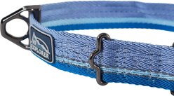 K9 Explorer Trek Glacier Adjustable Dog Collar, Large: 18 to 26-in neck, 1-in wide slide 2 of 6