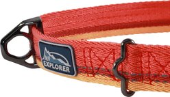 K9 Explorer Trek Sahara Adjustable Dog Collar, Large: 18 to 26-in neck, 1-in wide slide 2 of 6