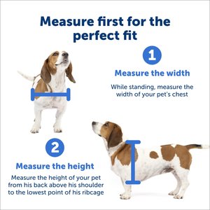 PetSafe Wall Entry Dual Flap Pet Door with Closing Panel, White, Large