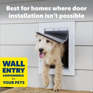 PetSafe Wall Entry Dual Flap Pet Door with Closing Panel, White, Large