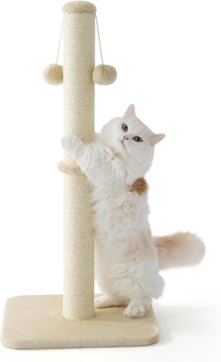 2 cats 1 litter box Double Cat Litter Box Enclouse,Cat Litter Box Enclosure For 2 Cats, Ca