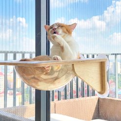 Happy & Polly Wall Mounted Suction Cup Hammock Cat Window Perch, Natural Wood