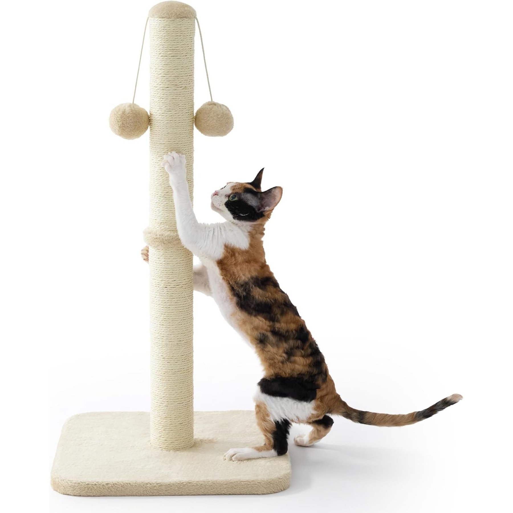 Lesure Indoor Tall Sisal Cat Scratching Post with Hanging Toy Ball & Stable Base, Beige, Medium: 14 x 14 x 29-in