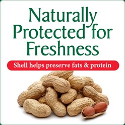 Wild Delight Inshell Peanuts Wild Bird Food, 5-lb bag slide 2 of 8