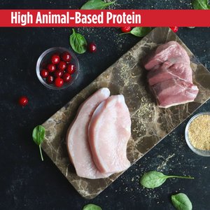 Nulo FreeStyle Turkey & Duck Recipe Freeze-Dried Raw Cat Food, 16-oz bag
