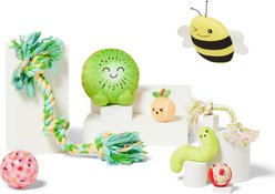 Frisco Kiwi Plush Squeaky Dog Toy, Medium/Large slide 2 of 6