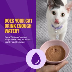 Wellness Appetizing Entrées Kitten Grain-Free Variety Pack Wet Cat Food, 1.4-oz pouch, case of 8 slide 2 of 9