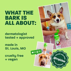 TropiClean Deshedding & Moisturizing Dog Conditioner, Lime & Cocoa Butter Scent, 20-fl oz bottle