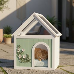 jansno Floral Carvings Transparent Roof Indoor Wooden Dog & Cat House, Mint & White slide 2 of 6