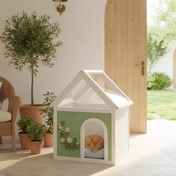 jansno Floral Carvings Transparent Roof Indoor Wooden Dog & Cat House, Mint & White slide 1 of 6