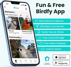 Birdfy Smart Solar Powered Camera & AI By Subscription Cardinal Bird Bath, Brown, 13.62 x 13.11 x 4.65-in slide 2 of 8