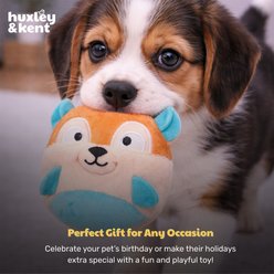 Huxley & Kent Tiny Tuff Nutty Buddy Squeaky Plush Dog Toy, Tan/Teal, One Size slide 2 of 8