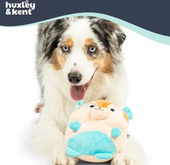 Huxley & Kent Pudgies Nutty Buddy Squeaky Plush Dog Toy,Tan/Teal, One Size slide 2 of 8