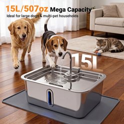 Deftpet Smart Modern Stainless Steel Dog & Cat Water Fountain, Silver, 15-L slide 2 of 9