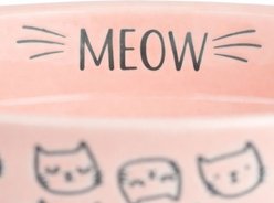 10 Strawberry Street Cat Face Cat Bowl, Pink, 28-oz, 2 count slide 2 of 5