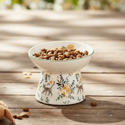 10 Strawberry Street Bella Striped Cat Strut Elevated Cat Bowl, 14-oz, 2 count slide 2 of 4